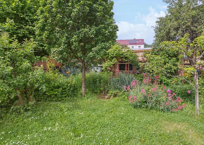 Awesome In Harz Lägenhet